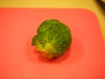 A washed brussel sprout.  Isn't he cute?  