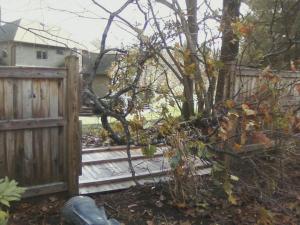 Storm Sandy took our fence