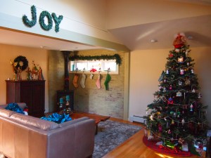 This is one side of the living room.  We had to rearrange stuff for the tree.