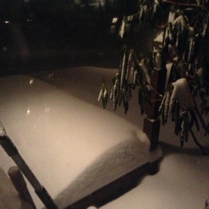 View from front living room window.  Thursday, 10:47PM.  The wind picked up.  Just heard thunder! And the snow is coming down at a moderate clip.