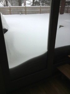 View from sliding door in living room @8AM.  