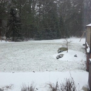 View from my bedroom window.  Thursday, 1:13PM Still not a bad storm. Not windy. Snow was very slow.