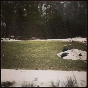 View from my bedroom window.  Thursday, 8:25AM.