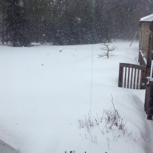 View from my bedroom window.  Friday, 8AM.  Completely covered, at least 25-30 inches at this point. Windy. Cold.