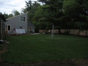 We rolled out grass ourselves! A shot from middle of the yard.