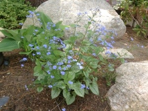 20130607-135635.jpg