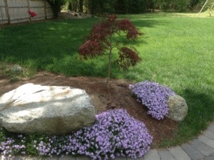 20130607-135657.jpg