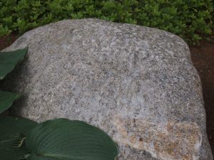 Rock Messy with Pine Sap
