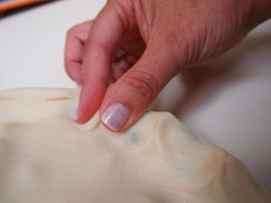 Pinch the dough to seal the bottom with the top.