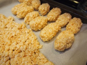 The Nigiri coming along quite nice!