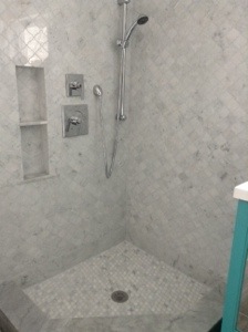 The shower, without the glass doors.