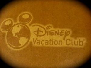 We stayed at a DVC for both parts of our trip.