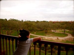 The view from our balcony!