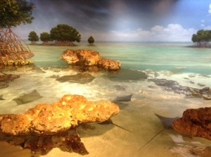 Touch tank- if you can decipher in the back, that is a GIANT stingray.  There was a lot of space for the animals to be free and swim, which was great.